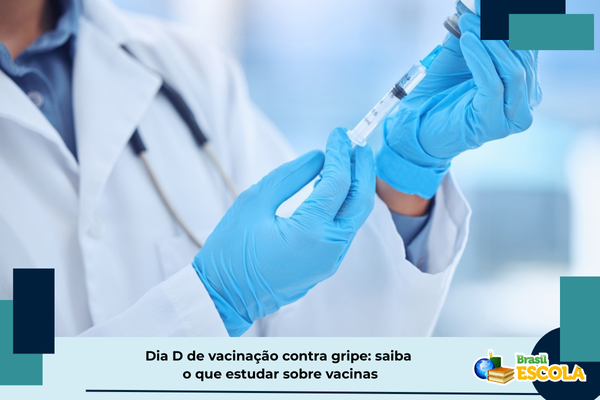 dia-d-de-vacinacao-contra-gripe:-saiba-o-que-estudar-sobre-vacinas-–-brasil-escola