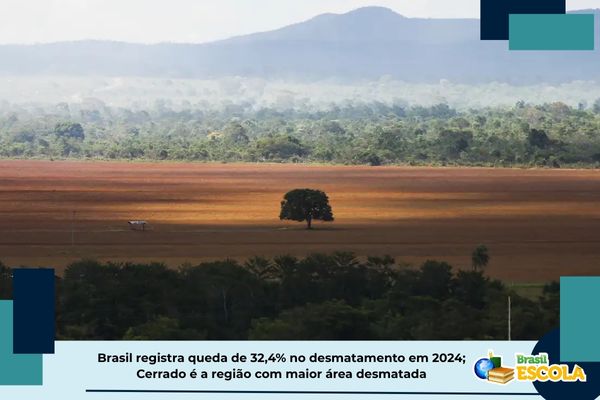 desmatamento-no-brasil-cai-32,4%-em-2024:-entenda-o-que-estudar-sobre-o-tema-–-brasil-escola