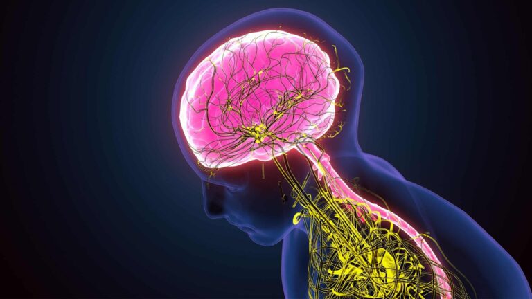 o-que-acontece-no-cerebro-quando-dormimos?