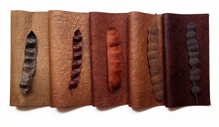 mabe-bio:-biodiversidade-brasileira-da-origem-a-novos-materiais-texteis