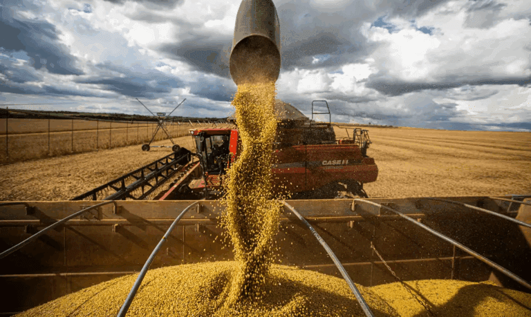por-que-o-brasil-e-chamado-de-‘celeiro-do-mundo’?-veja-os-produtos-mais-exportados