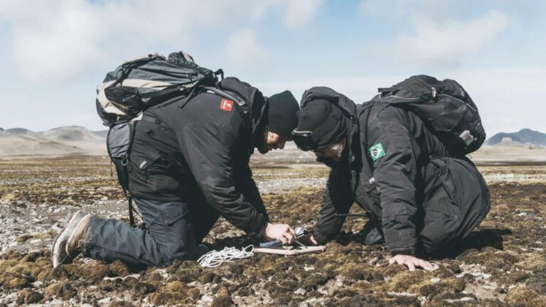 especies-de-fungos-sao-descobertas-na-antartica-por-cientistas-brasileiros