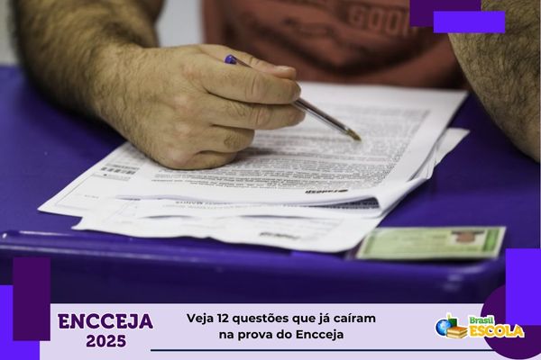 encceja-2025:-confira-12-questoes-que-ja-cairam-na-prova-para-terminar-ensino-medio-–-brasil-escola