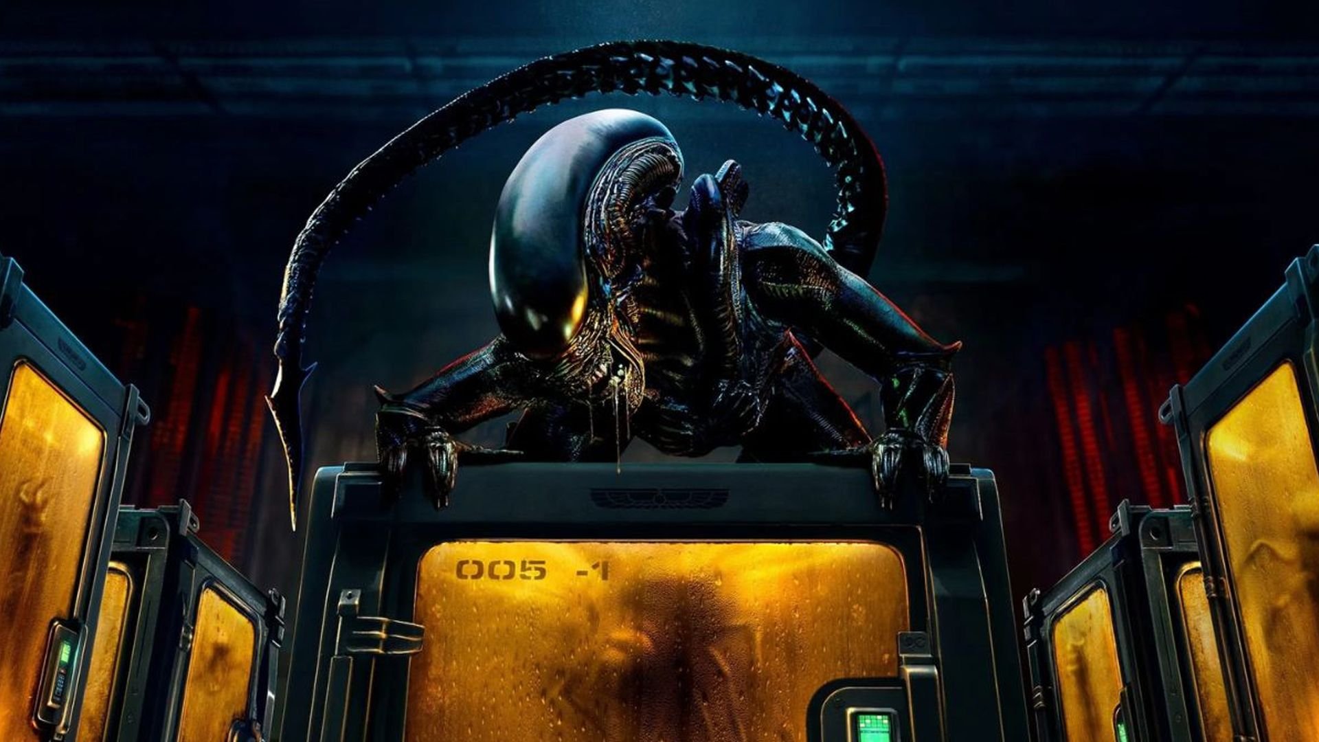alien:-earth,-corra-que-a-policia-vem-ai-e-mais!-os-lancamentos-de-filmes-e-series-da-semana-(10/08)